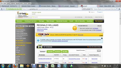 Accepting A Pending Domain From Godaddy.com