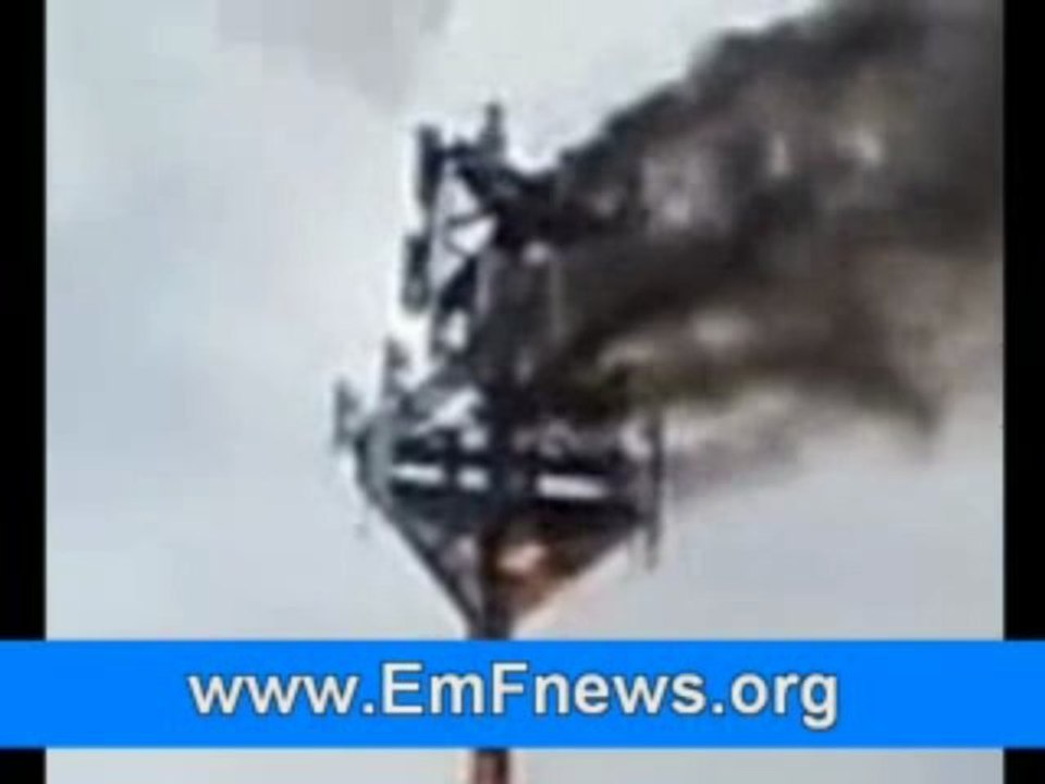 Cell Phone Frequencies, Wireless Radiation Protection