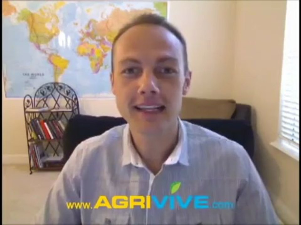 Shop Wholesale Bulk Corn, Maize, Provide Corn, Raw Corn, Source of Corn, Bulk Corn, Bulk Corn Meal