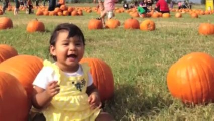 Providence Place - Action Adoption