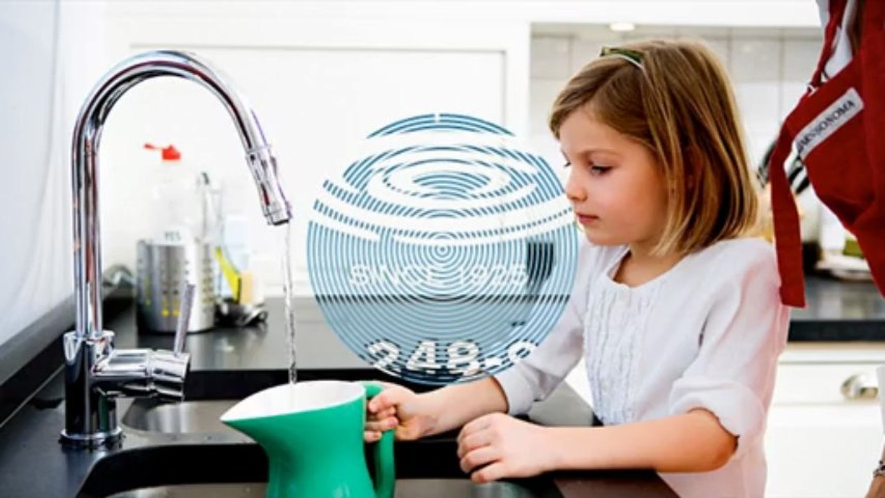 Water Treatment, Analysis & Iron Water Ocala, FL - EcoWater Systems.