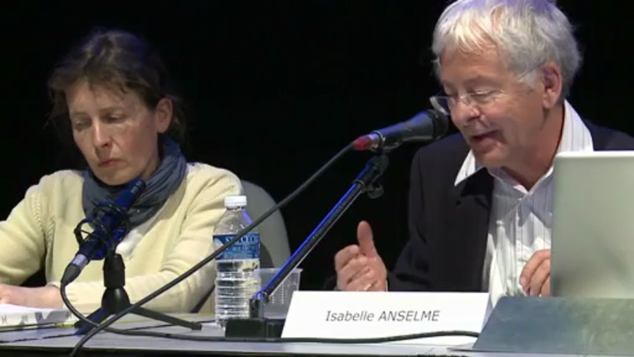Journée Wang Bing à l'institut de l'image - 2ème partie - François Amy de la Bretèque