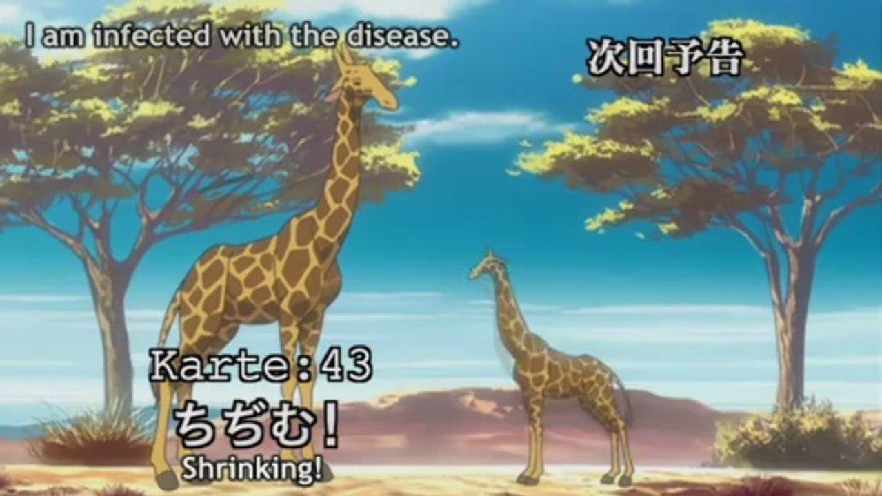 Black Jack TV - 42 [Froth-Bite]