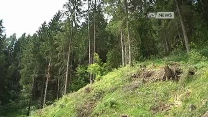 RIFIUTI IN CADORE, MULTE E NUOVE REGOLE