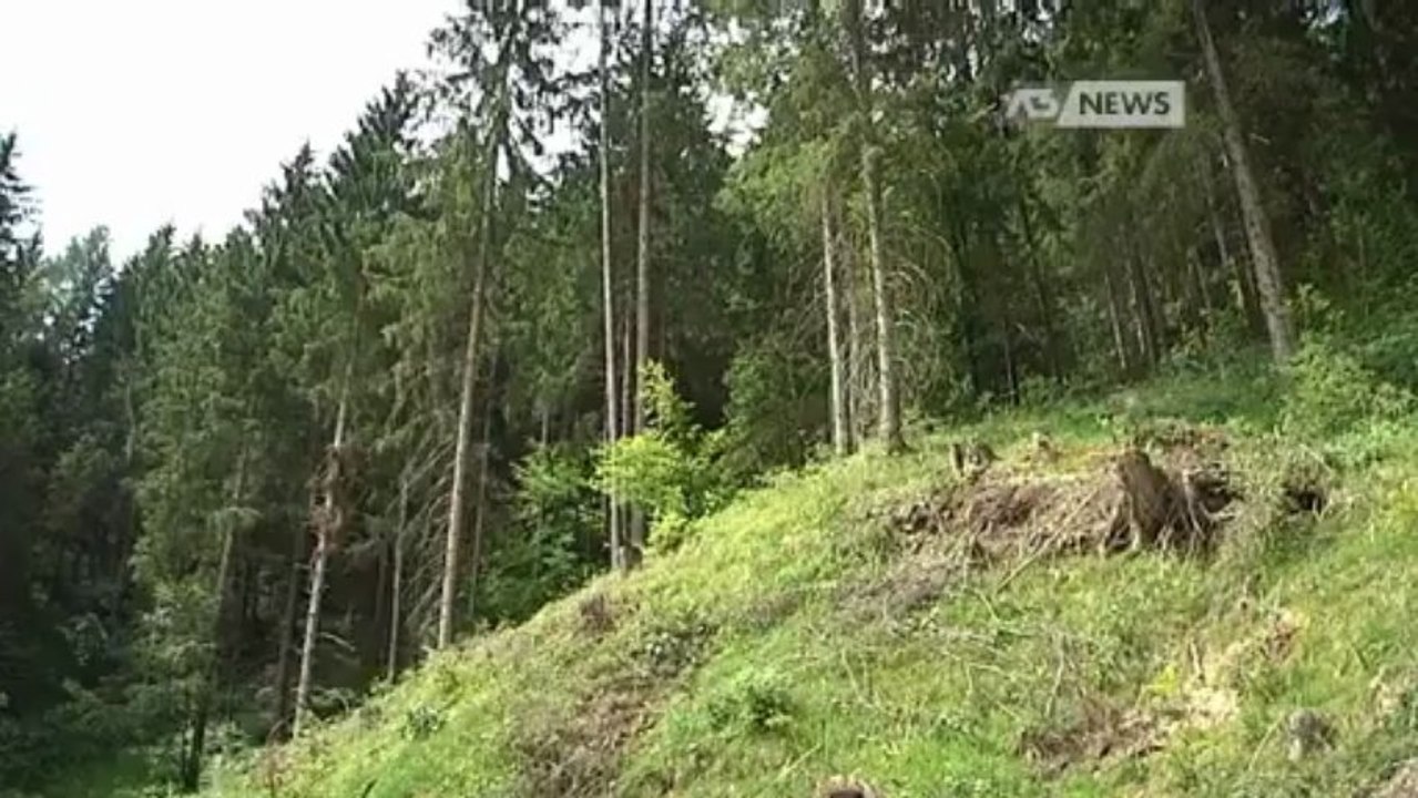 RIFIUTI IN CADORE, MULTE E NUOVE REGOLE
