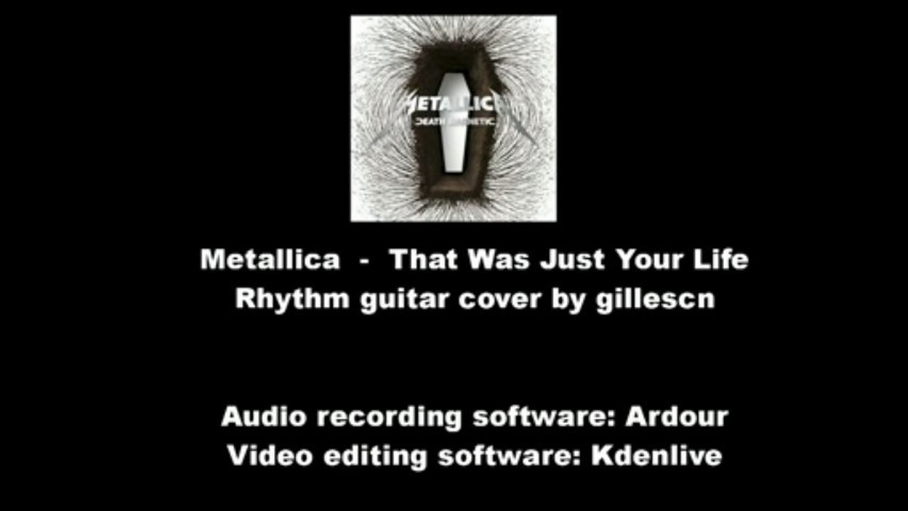 Metallica - That Was Just Your Life (Rhythm Guitar Cover)