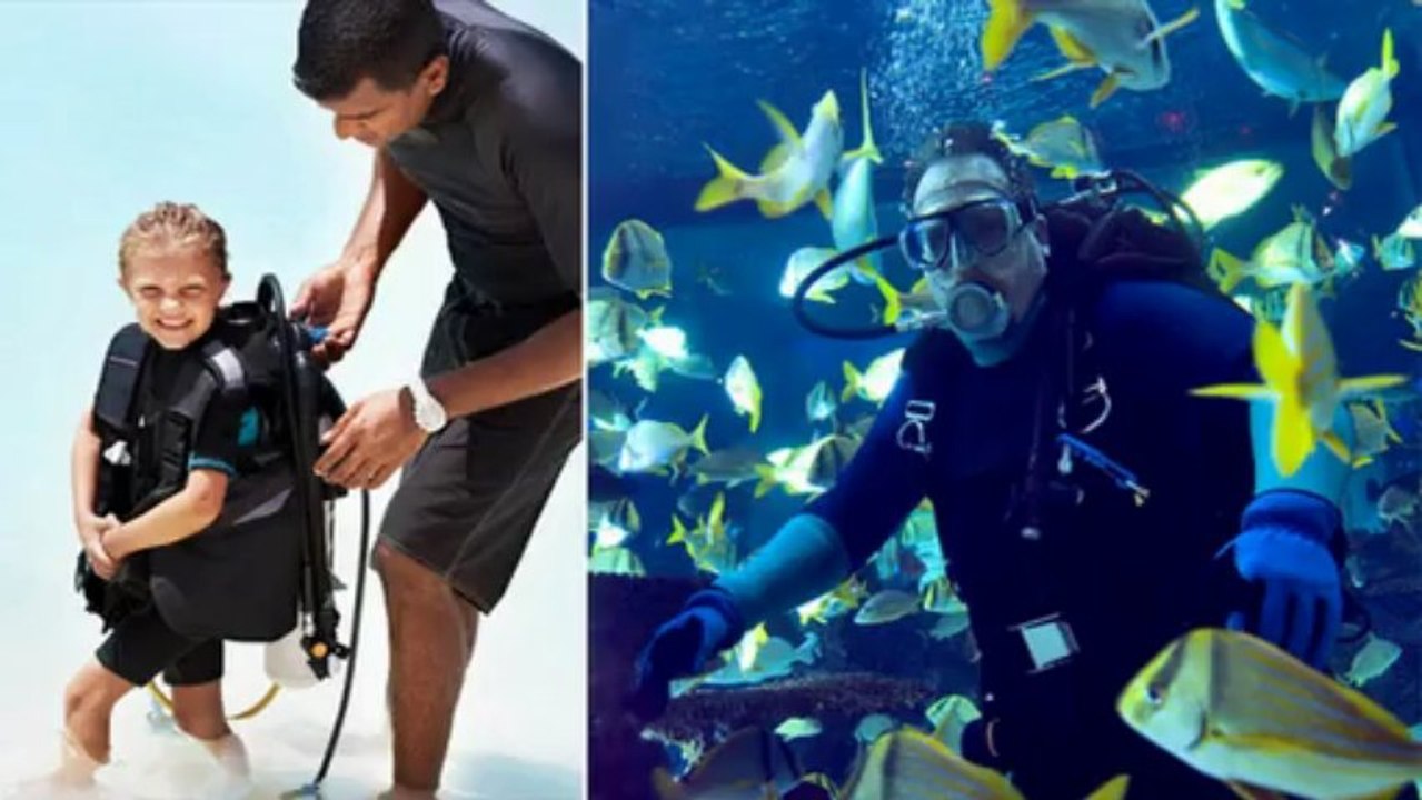 Learn Diving in Key Largo