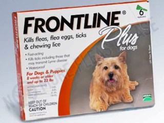 Frontline Plus for Dogs