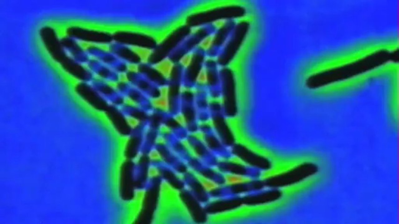 Zeitgeist (2007) Trailer