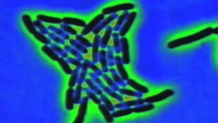 Zeitgeist (2007) Trailer