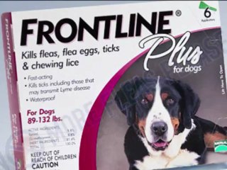 Frontline Plus for Pets