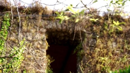 Aversa (CE) - Prevenzione del tumore al seno di un angelo nel blu (22.06.13)