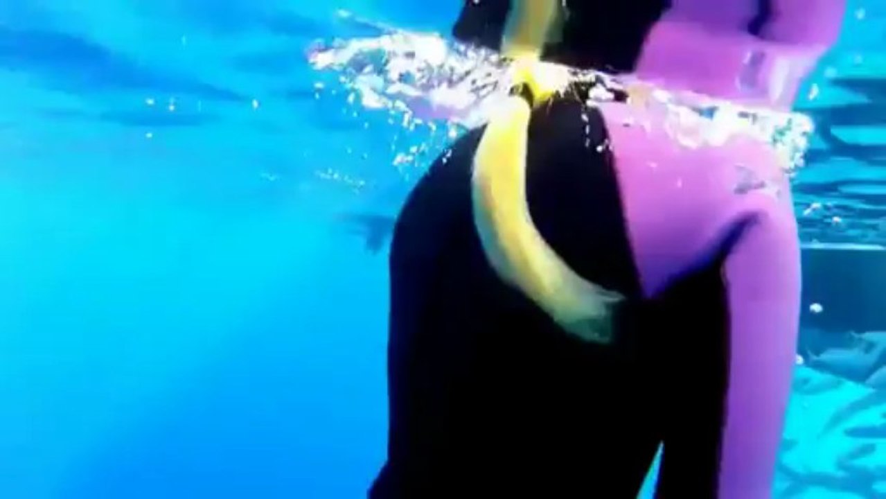 Une femme nage avec un requin blanc