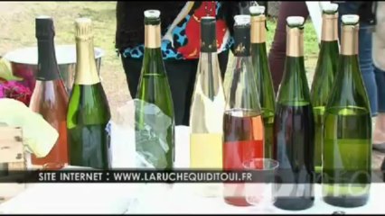 REPORTAGE TV8 SUR LA RUCHE DE FREIMENGEN