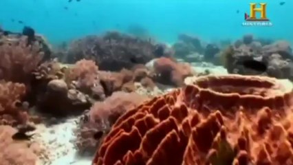 Historia del mundo desde el Big Bang a hoy