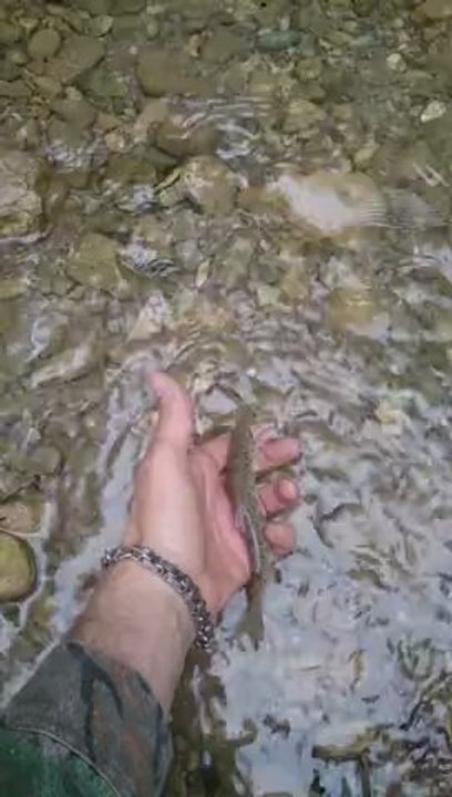 sev-okşa sal