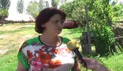 STIP PAGAAT CENITE ZA OTKUP NA MLEKO