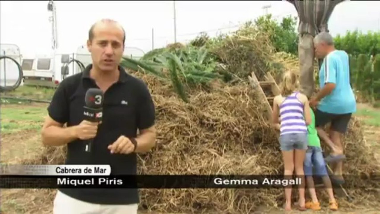TV3 - Telenoticies - Fogueres i tradicions