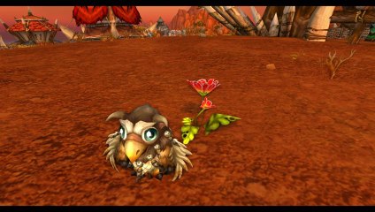 Mascotte World of Warcraft: Bébé Sélénien (Horde avec /danse)