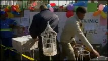 Un lâcher de cent colombes devant l'hôpital de Mandela