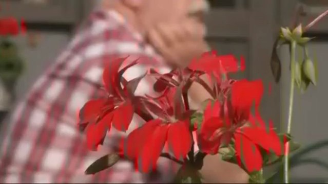 130622 hebdo ciney nico_actu