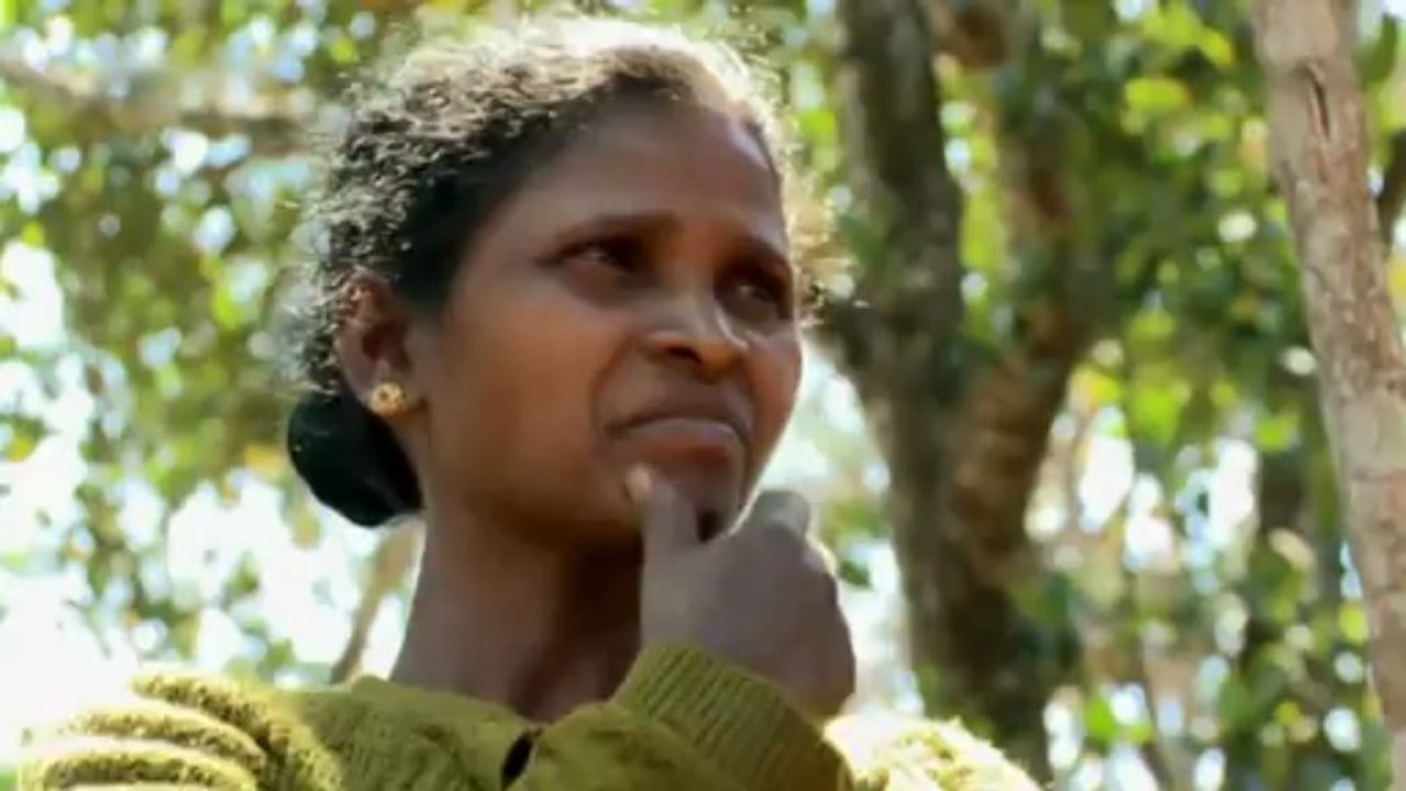 Der Pakt mit dem Panda