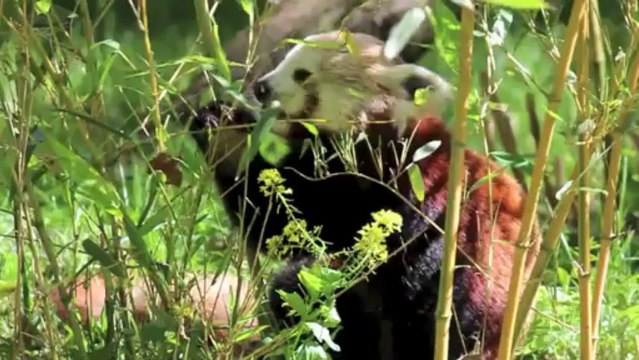 Visite guidée de Lyon avec notre Bureau des Arts