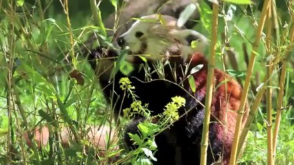 Visite guidée de Lyon avec notre Bureau des Arts