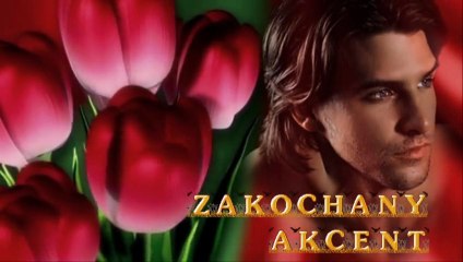 Zakochany ❤ AKCENT HD