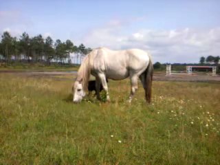 Orient boite, Fun veille