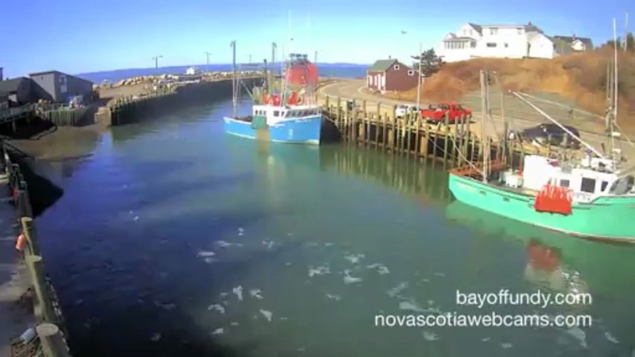 Spring Tide Timelapse, Halls Harbour HD
