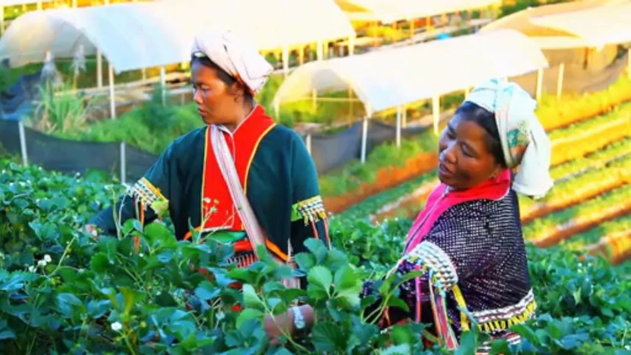 Monsanto Company Commits an Additional $3 Million to Continue International Scholars Program