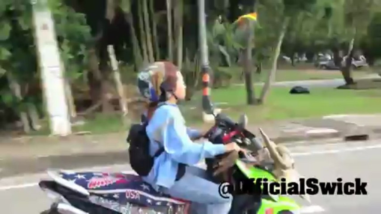 Pássaro segue dona que viaja de moto na Tailândia