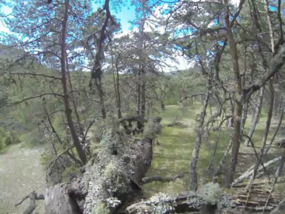 ats team sabre partie du 23/06/2013 partie 2