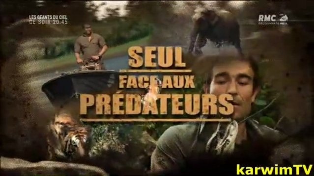 Seul face aux prédateurs - cochons sauvages