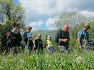 Concours agricole des prairies fleuries - 4e édition dans les volcans d'Auvergne