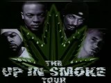 the up in smoke tour