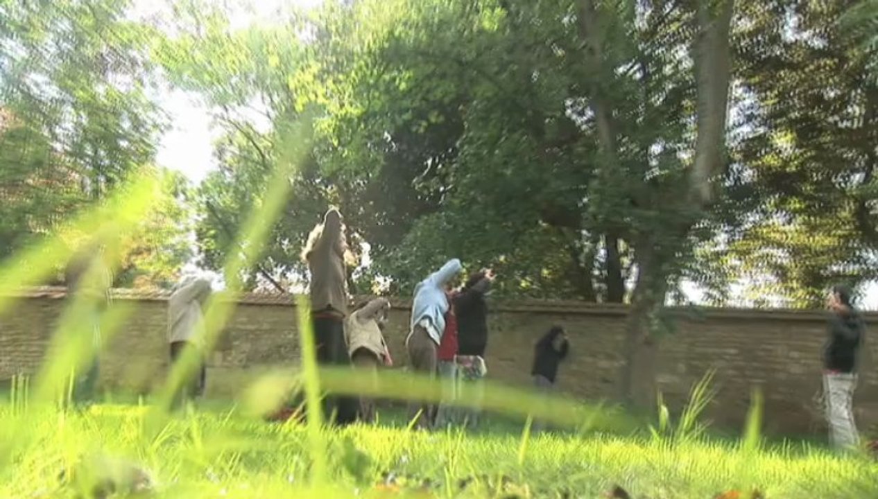 Qi Gong du Marais, cours de Qi Gong a Niort et Fontenay le Comte