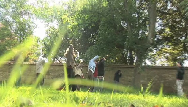 Qi Gong du Marais, cours de Qi Gong a Niort et Fontenay le Comte