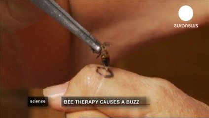 Apiterapia: Abejas medicinales
