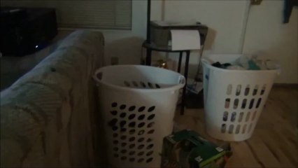 Las travesuras del senor Gato La ropa Limpia