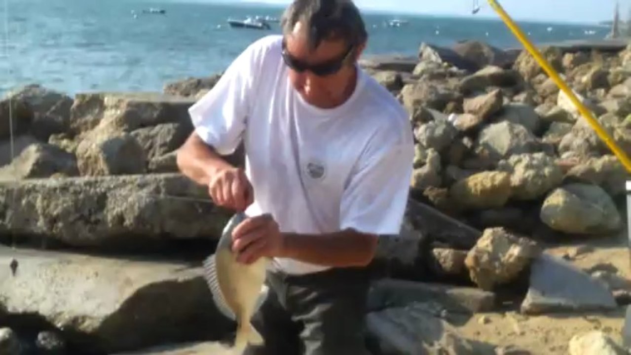 Dorade Royale sur le bassin d'arcachon par Roro33 le 25.06.203