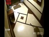 Leopard Enters Mumbai Apartment, Kills Dog - June 21st, 2013