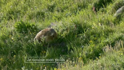 FR - La Marmotte - Etape 8