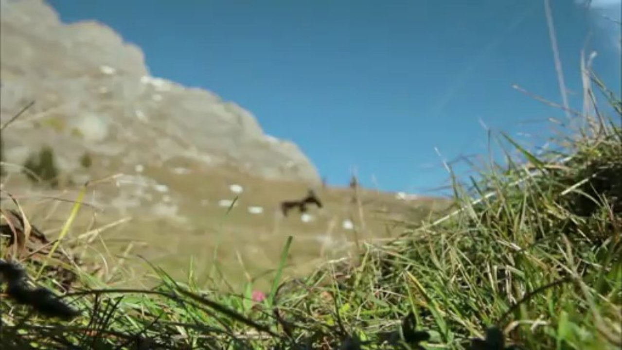 FR - L'Aigle Royal - Etape 19