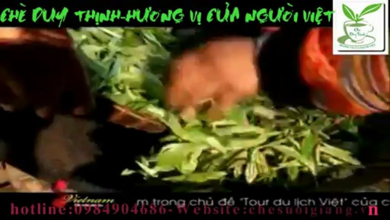 học cách chế biến chè shan tuyết cổ thụ của người H'mong suối giàng