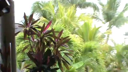 Mauritius Hotel Mauritius Maritim Mauritius Balaclava