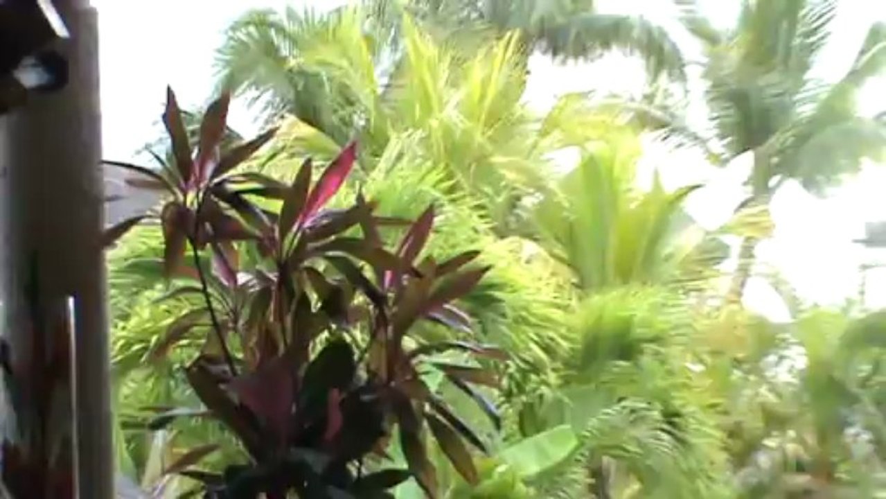 Mauritius Hotel Mauritius Maritim Mauritius Balaclava