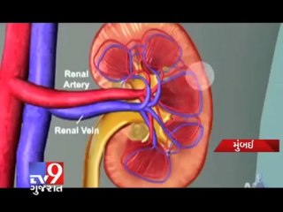 Tv9 Gujarat - First domino kidney transplant in India