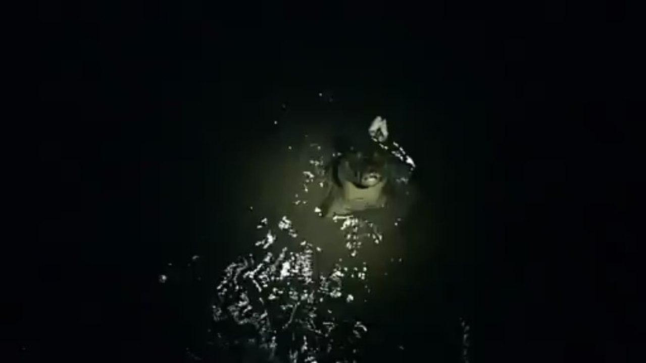 Nico dresseur de Caïmans